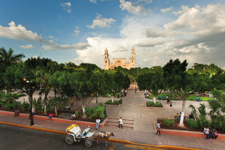 City Tours